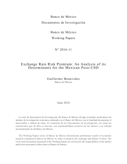 Exchange Rate Risk Premium: An Analysis of its