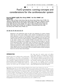 FoxO proteins - Clinical Science