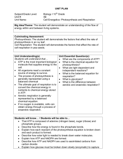 Culminating Assessment