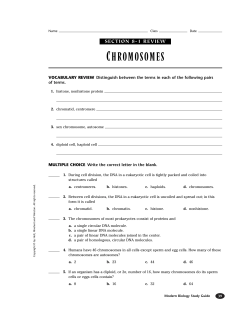 chromosomes