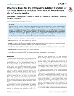 Ascaris lumbricoides