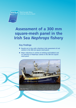 Assessment of a 300 mm square-mesh panel in the Irish Sea