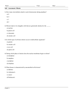 Self Assessment: Mitosis