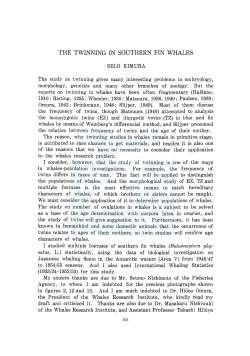 THE TWINNING IN SOUTHERN FIN WHALES