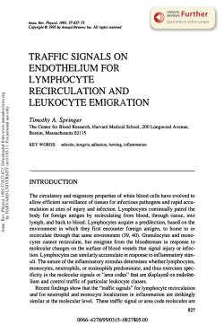Traffic Signals on Endothelium for Lymphocyte