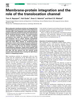 Membrane-protein integration and the role of the translocation channel