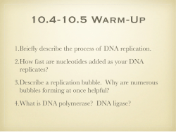 1.Briefly describe the process of DNA replication. 2.How fast are
