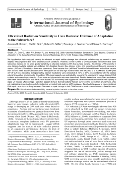 Ultraviolet Radiation Sensitivity in Cave Bacteria