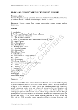 Flow and Conservation of Energy in Forests