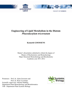 Engineering of Lipid Metabolism in the Diatom Phaeodactylum