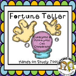 Fortune Teller