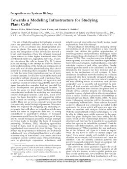 Towards a Modeling Infrastructure for Studying Plant Cells