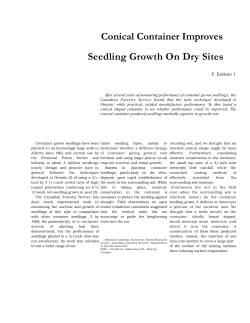 Conical Container Improves Seedling Growth On Dry Sites
