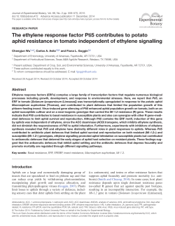 The ethylene response factor Pti5 contributes to potato aphid