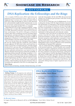 DNA Replication: the Fellowships and the Rings