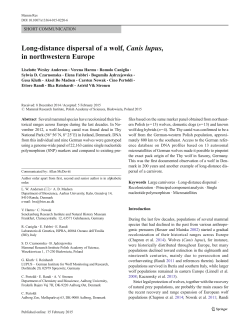 Long-distance dispersal of a wolf, Canis lupus, in northwestern Europe