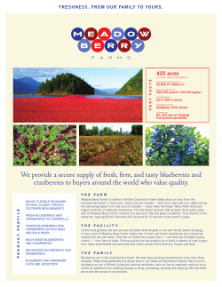 our information Sheet