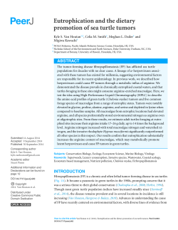 Eutrophication and the dietary promotion of sea turtle tumors
