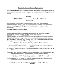 Chapter 13 Photosynthesis in higher plants 13.1-Photosynthesis