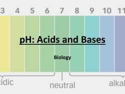 pH: Acids and Bases