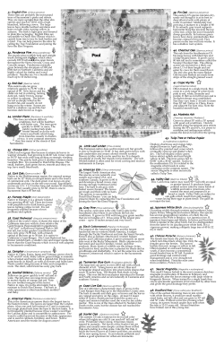 mcKinley park tour - Sacramento Tree Foundation