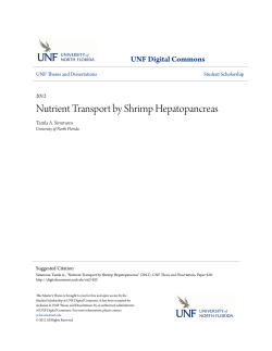 Nutrient Transport by Shrimp Hepatopancreas
