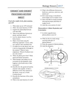 Energy and Energy Processes Review Sheet