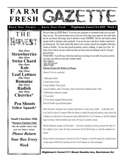 Strawberries Swiss Chard Leaf Lettuce Romaine Radish Cherries