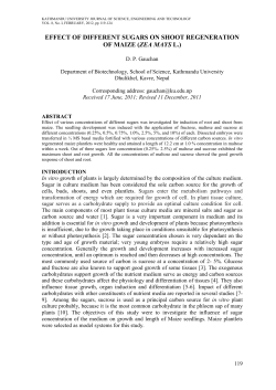 effect of different sugars on shoot regeneration of maize
