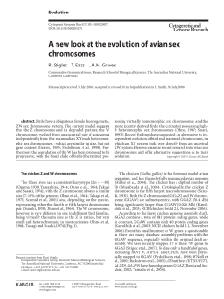 A new look at the evolution of avian sex chromosomes