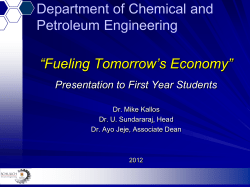Human Neural Stem Cells Bioreactors