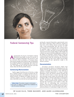 Federal Sentencing Tips