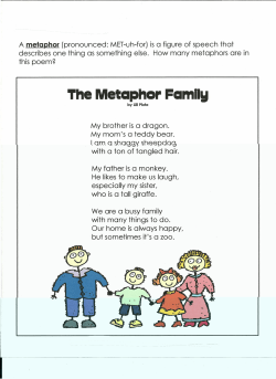 The Metaphor Family
