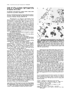1 and -2 mRNA in H4 rat hepatoma cells i