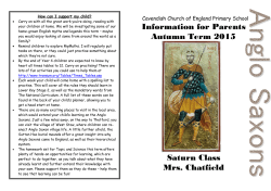 Anglo Saxons Topic Autumn 1 2015