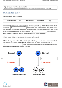 11-14 what`s missing activity