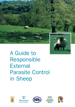 A Guide to Responsible External Parasite Control in Sheep