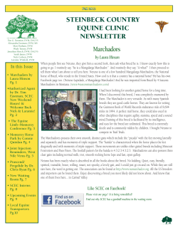 - Steinbeck Country Equine Clinic
