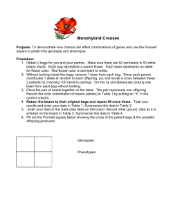 Monohybrid Cross (beans)