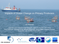 Impacts of Ocean Change on Primary Producers