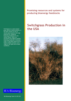 Switchgrass Production in the USA. IEA Bioenergy Task43