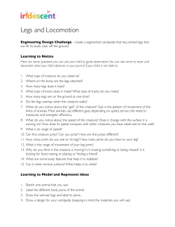 Legs and Locomotion - Iridescent Learning