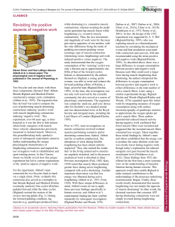 Revisiting the positive aspects of negative work