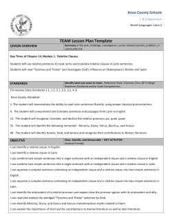 TEAM Lesson Plan Template