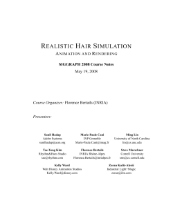 realistic hair simulation - Grenoble - Rh&ocirc;ne