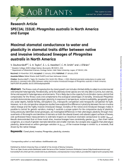 Maximal stomatal conductance to water and