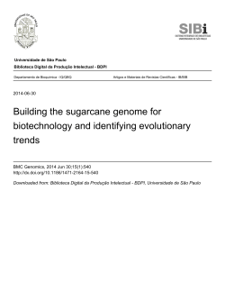 Building the sugarcane genome for biotechnology and
