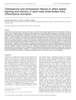 Testosterone and photoperiod interact to affect spatial learning and