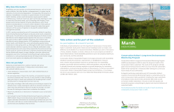 Ecology Fact Sheet - 2015 Marsh Monitoring