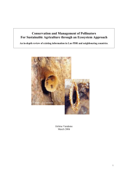 Conservation and Management of Pollinators For Sustainable